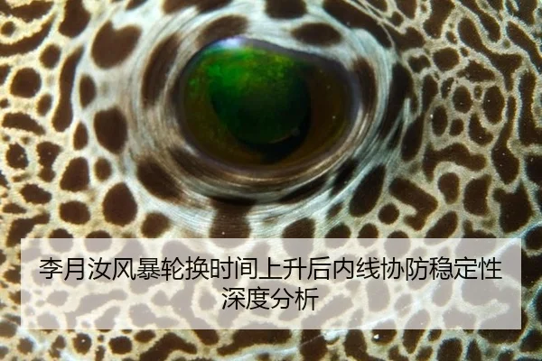 李月汝风暴轮换时间上升后内线协防稳定性深度分析